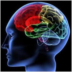 13626001631416488882