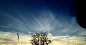 Instagram: @flowofwisdom