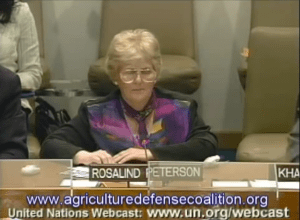 Screenshot from YouTube