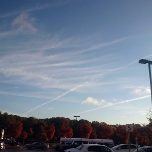 Instagram: @flowofwisdom